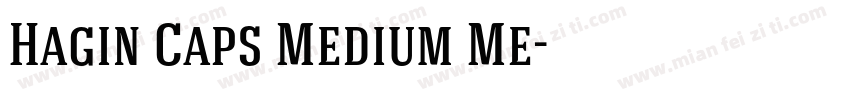 Hagin Caps Medium Me字体转换